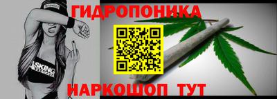 шишки Пушкино