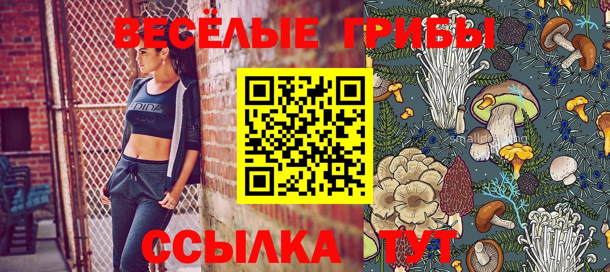 Галлюциногенные грибы Magic Shrooms  где найти   Армавир  Вход с VPN  Галлюциногенные грибы MAGIC MUSHROOMS 