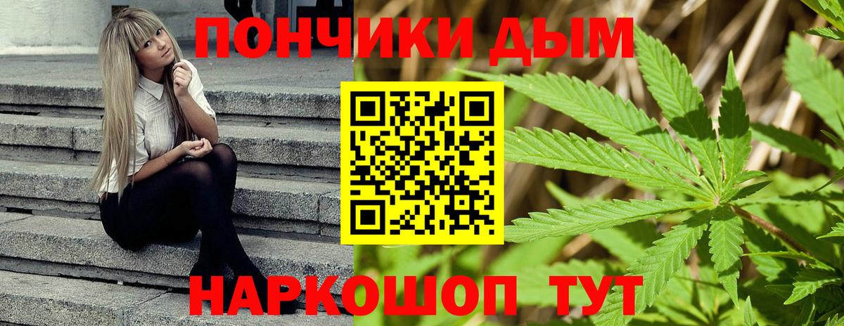 Бошки Шишки планчик Армавир